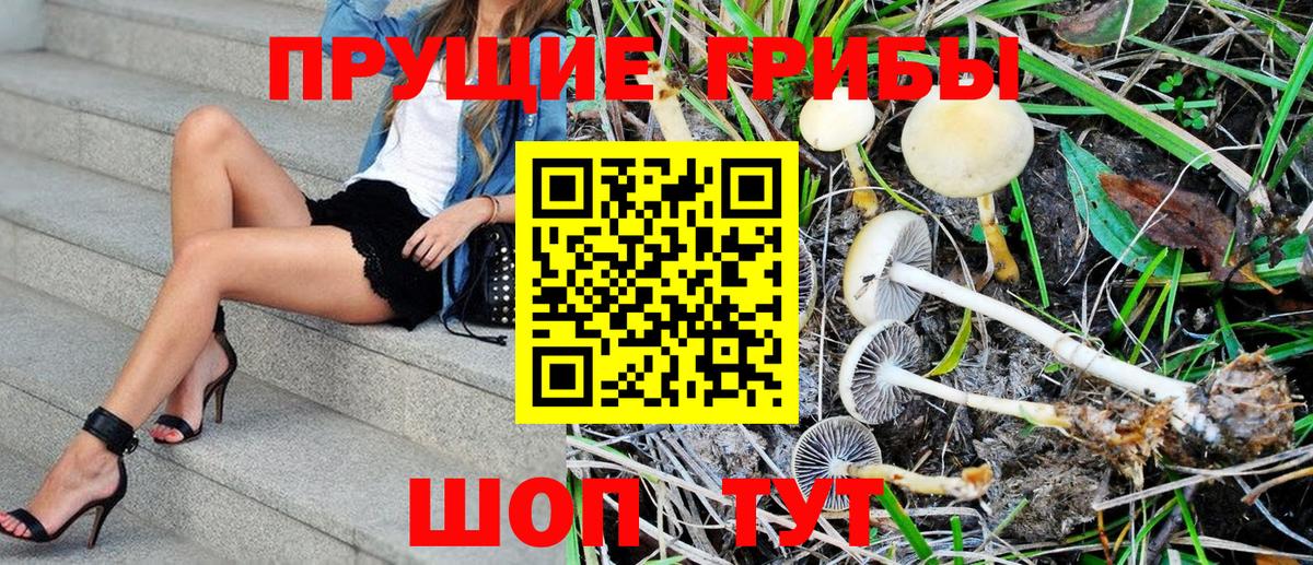 Фролово  Галлюциногенные грибы Psilocybine cubensis  где можно купить   Вход с VPN  Псилоцибиновые грибы Cubensis 